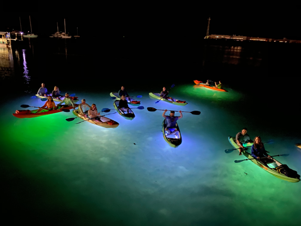 Daytime Kayak Tour - Glass Kayak Tours