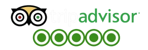 tripadvisor-logo-leisure-italy-private-excursions-and-custom-tours-15